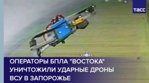 Операторы БПЛА "Востока" уничтожили ударные дроны ВСУ в Запорожье