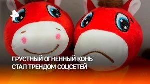 Бракованная игрушка стала хитом продаж в Китае
