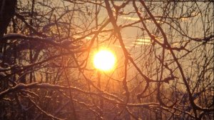 Красоты зимы, маленький праздник и деревенский быт