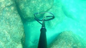 Охота вьетнам