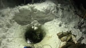 ТРОФЕЙНАЯ РЫБАЛКА _ ПРИХОДИЛ ПУШИСТЫЙ ДРУГ _ ПЕРЕМЕТ НА НАЛИМА _ ПРОВЕРКА 12.01.2026