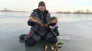 Трофейный Окунь!!! Зимняя рыбалка на Варваровском водохранилище!!!