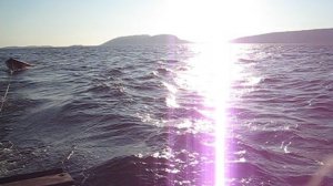 © "Плывем в Кемь 3" Осень 2007 Фрагмент. MVI_1541