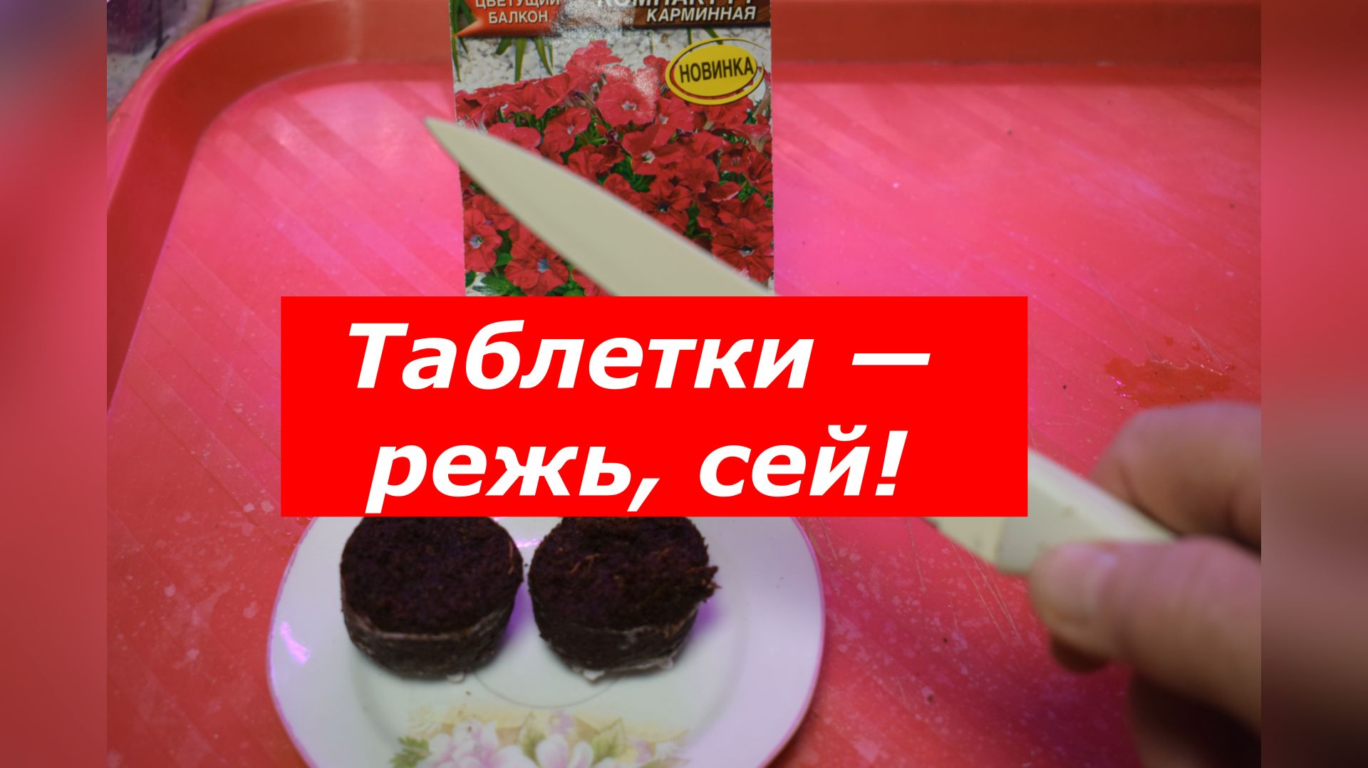 Разделила таблетку-рассадила семена: гениальный способ огородников! смотреть онлайн
