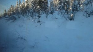 Вид из окна Электропоезда Скальный-Чусовская Пермский Край