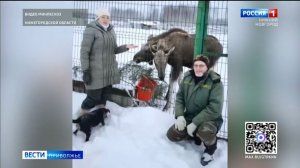 Трогательная история "усыновления" фермером Татьяной Пироговой двоих осиротевших лосят