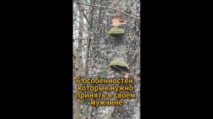 6 особенностей, которые нужно принять в своём мужчине