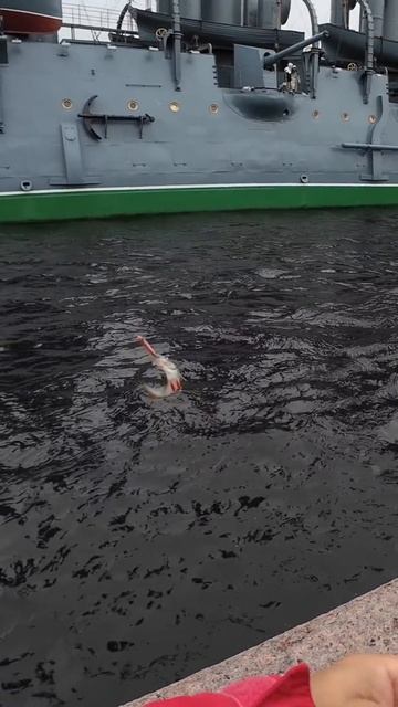 | Ловля на стики | Раздача окуней под Indian Metal | смотреть онлайн