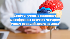 Прошло исследование ученых: по каким 4 типам реакций мозга выявляют шизофрению