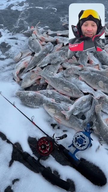 Большой ЧЕЛЛЕНДЖ 2026! День1✅ #снастиздрасьте смотреть онлайн