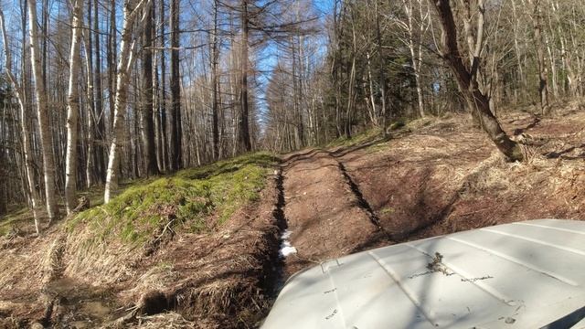 Еду с леса гружённый металлом смотреть онлайн