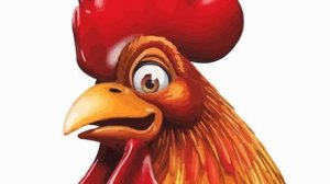 Нет петушка