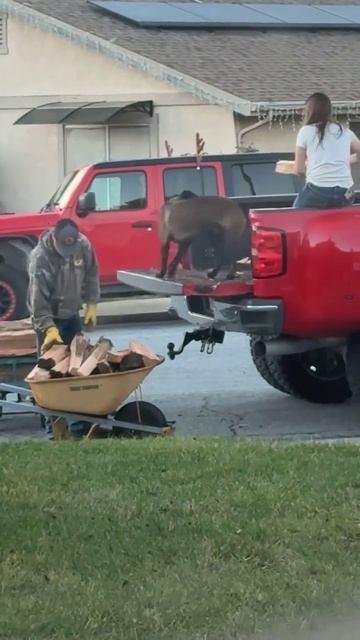 Без его помощи наверное и до вечера бы не управились) смотреть онлайн