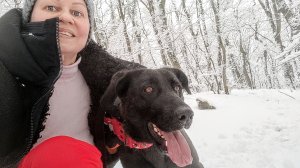 Природа Анапского района под снегом, гуляем с собаками в лесу