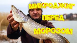 МИКРОДЖИГ! С этой ПРИМАНКОЙ поймаешь ВСЕГДА 💪 Щуки, окуни и КАРАСИ от неё в восторге 👍👍👍