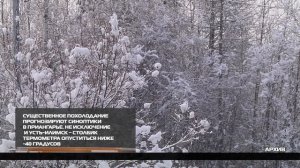 Существенное похолодание прогнозируют синоптики в Приангарье 14-01-2026