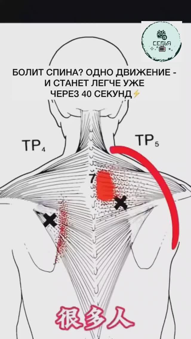 БОЛИТ СПИНА ОДНО ДВИЖЕНИЕ И СТАНЕТ ЛЕГЧЕ УЖЕ ЧЕРЕЗ 40 СЕКУНД смотреть онлайн