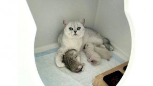 Март у Васьки круглый год))