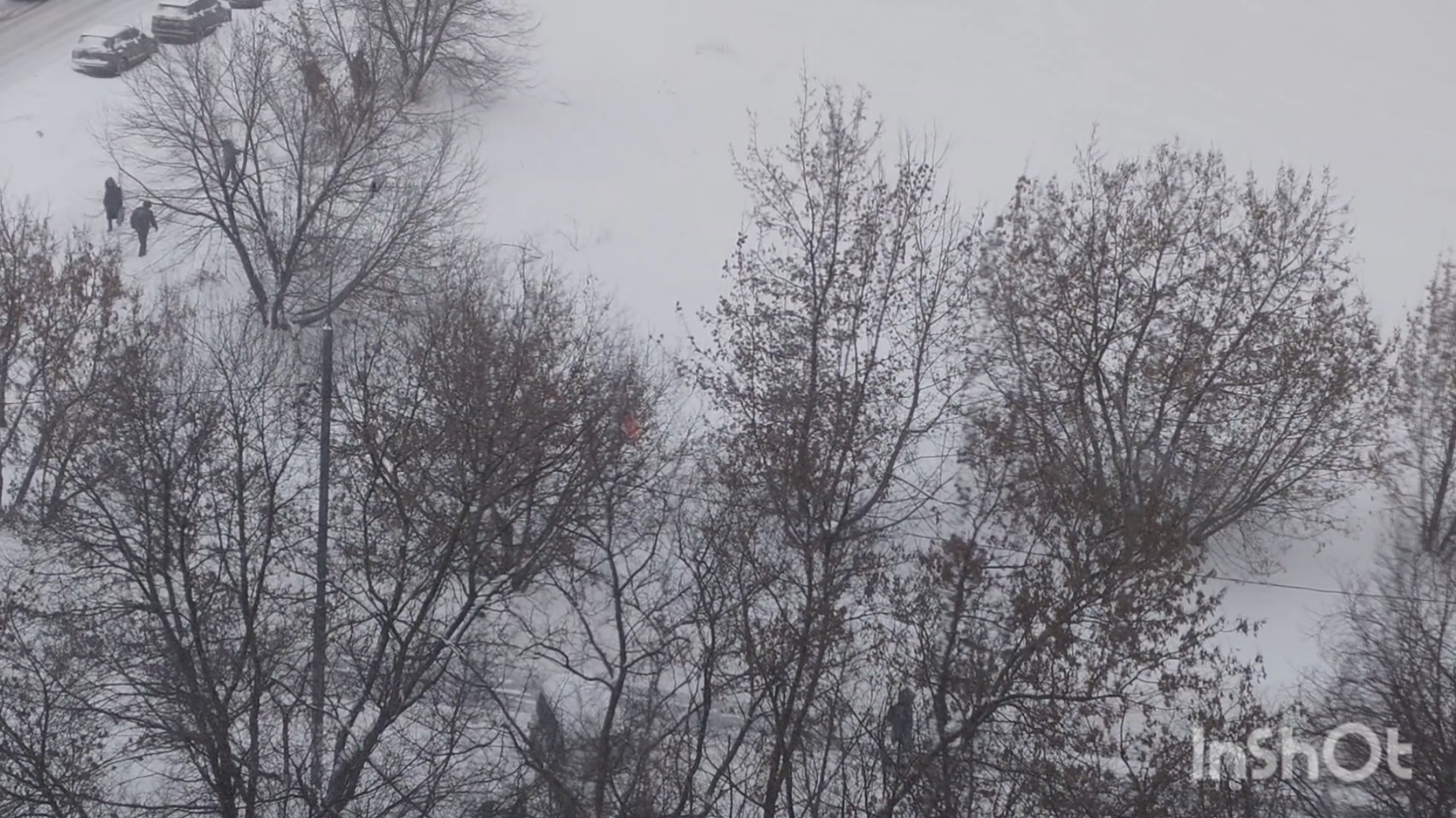 Влог. Пробую десерт манго из Чижика. Готовлю. Снег выпал в Москве. смотреть онлайн