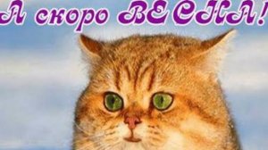 СП Вязальный переполох А скоро Весна!?! Январь 1 с Еленой Велиной