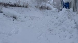 Уголовное дело возбудили по факту гибели человека под снежным завалом на Камчатке