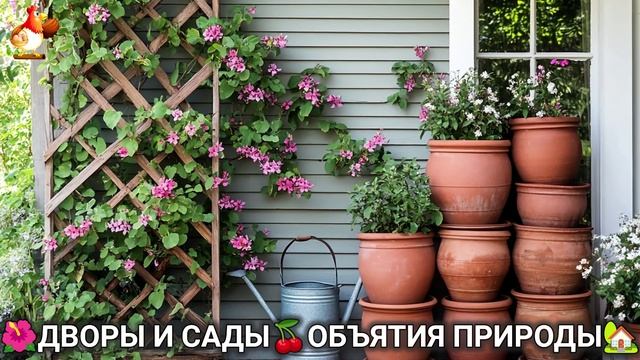 Дворы и сады 🍒 идеи оформления дачи в объятиях природы 🏡 (24) 🌳 смотреть онлайн