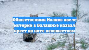 Общественник Иванов после истории в Балашихе назвал крест на коте невежеством