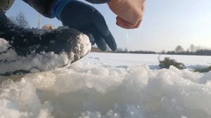 ОТКРЫТИЕ зимней рыбалки на ЖЕРЛИЦЫ 2026