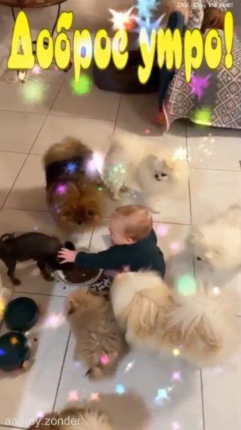 Доброе утро!) Интересного дня!) #доброеутро смотреть онлайн