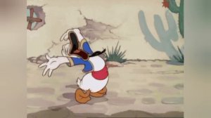 Женщины, мужчины и котики 😁