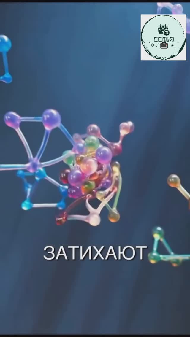 ЧТО БУДЕТ ЕСЛИ НЕ ЕСТЬ 36 ЧАСОВ смотреть онлайн