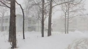 Расстилает метель снеговую постель, серебристая кружится мгла