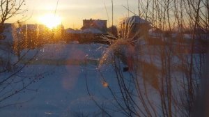 Мои будни и фото прошлых лет!