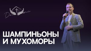 Ярослав Кабанов | Шампиньоны и мухоморы