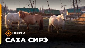 «Саха сирэ» информационнай биэрии. Тохсунньу 15 күнэ 18:00