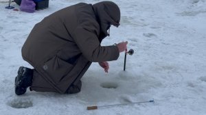 Спортзона.Поимка Форели