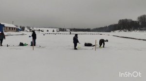 15.01.26. Зарыбление VIP зоны форелью.