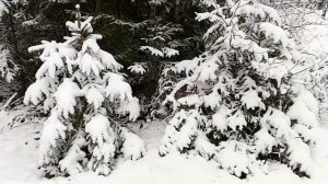 #зима в январе полным ходом