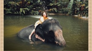 Невероятный Пхукет: обнимашки со слонами