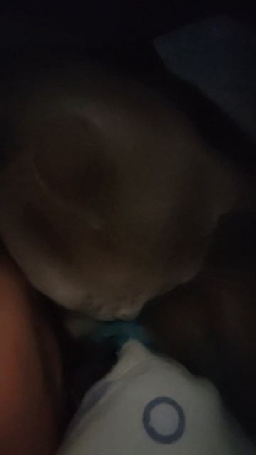 У кого на голове спят котики смотреть онлайн