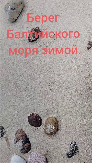 А вы были на море зимой?shorts