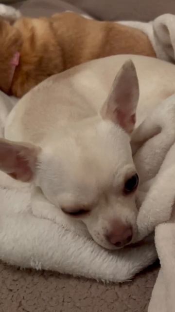 Пятница смотреть онлайн