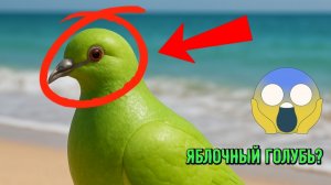 ЯБЛОЧНЫЙ ГОЛУБЬ ВЕРНУЛСЯ????????