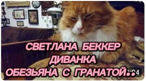 САМВЕЛ АДАМЯН, ОБЗОР ОТ СВЕТЛАНЫ БЕККЕР НА МИСС ВОНГ, ОБЕЗЬЯНА С ГРАНАТОЙ..