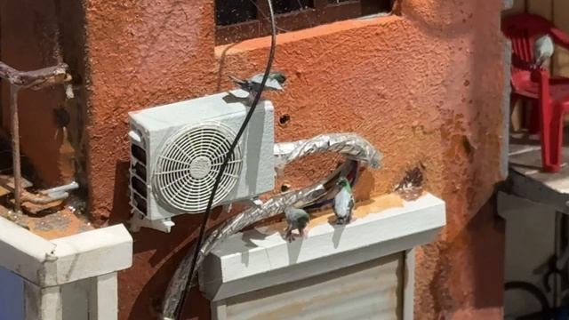 Мраморный дворец в Санкт-Петербурге. Питер и современное искусство. Путешествие по городу