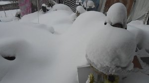 СНЕЖНО-ПРАЗДНИЧНАЯ ПРОГУЛКА В ЯНВАРЕ...