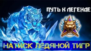 Натиск Ледяной тигр рейтинг 2000 ранг Золото развиваем гейминг вместе подписка взаимная