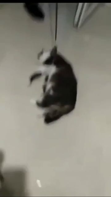 Я и мое желание идти на работу после праздников смотреть онлайн