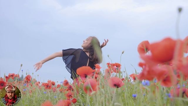 Нарву я ромашек букет /теперь с видео смотреть онлайн