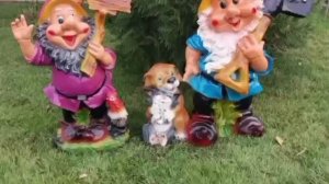 Садовые фигуры.